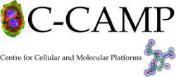 CCAMP Logo