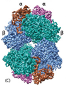 Dimethylformamidase
