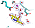 Ligands