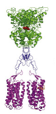 allosteric