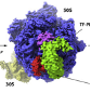 biogenesis
