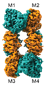 methionine