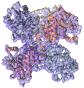 monomers
