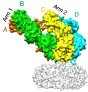 receptor